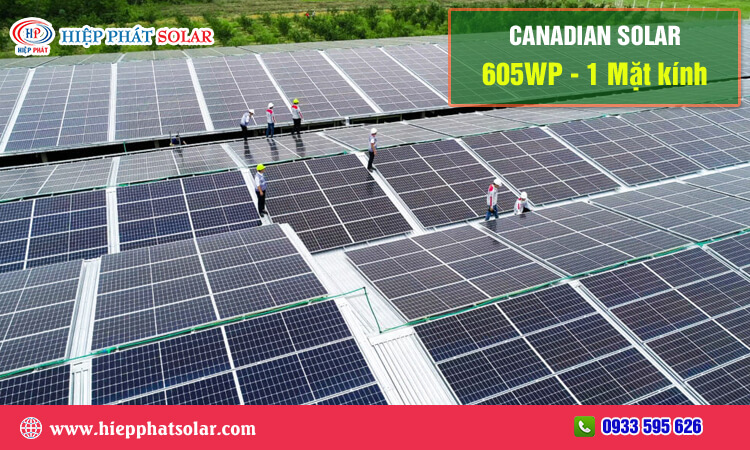 Canadian Solar 605WP – 1 Mặt Kính